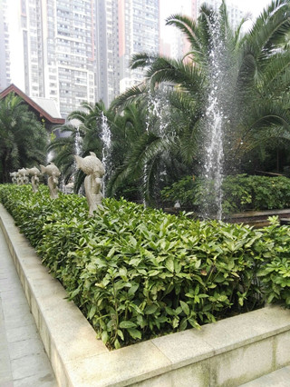 女儿误入传销怎么办？父亲多次寻访无果，求助反传销寻人成功案例